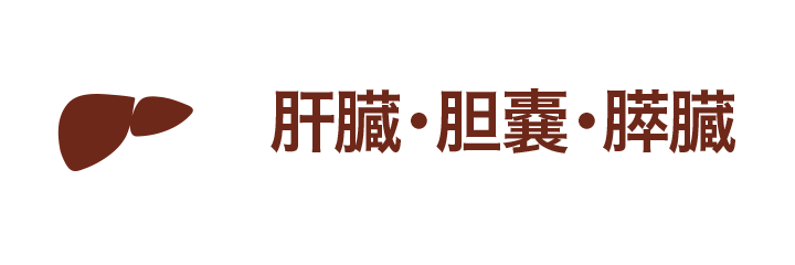 肝臓・胆嚢・膵臓